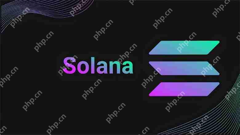 Solana价格预测:Solana能达到1000美元吗?